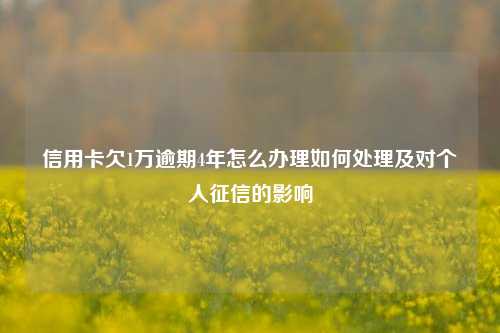 信用卡欠1万逾期4年怎么办理如何处理及对个人征信的影响