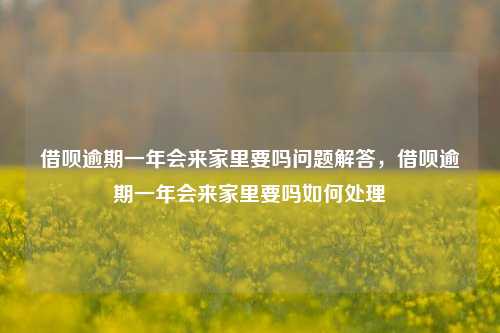 借呗逾期一年会来家里要吗问题解答，借呗逾期一年会来家里要吗如何处理