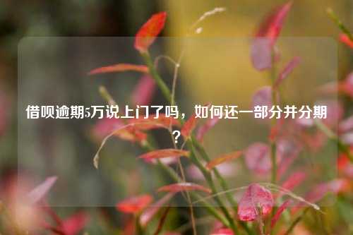 借呗逾期5万说上门了吗，如何还一部分并分期？