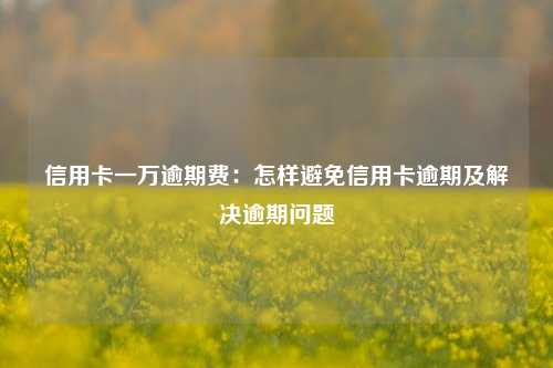 信用卡一万逾期费：怎样避免信用卡逾期及解决逾期问题