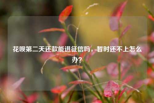 花呗第二天还款能进征信吗，暂时还不上怎么办？