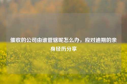 催收的公司由谁管辖呢怎么办，应对逾期的亲身经历分享