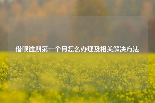 借呗逾期第一个月怎么办理及相关解决方法