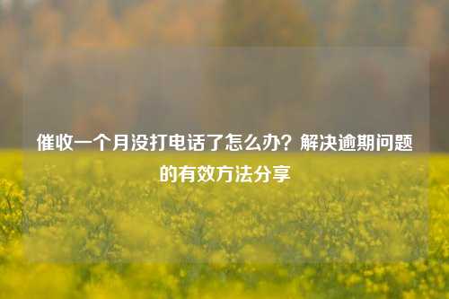 催收一个月没打电话了怎么办？解决逾期问题的有效方法分享