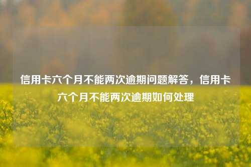 信用卡六个月不能两次逾期问题解答，信用卡六个月不能两次逾期如何处理