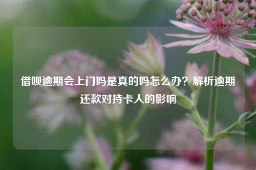 借呗逾期会上门吗是真的吗怎么办？解析逾期还款对持卡人的影响