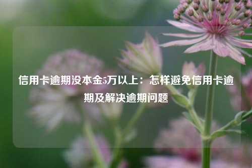 信用卡逾期没本金5万以上：怎样避免信用卡逾期及解决逾期问题