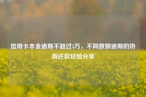 信用卡本金逾期不超过5万，不同数额逾期的协商还款经验分享