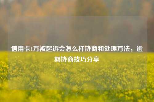 信用卡1万被起诉会怎么样协商和处理方法，逾期协商技巧分享