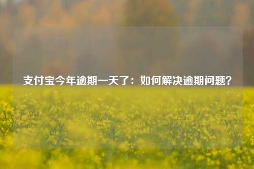 支付宝今年逾期一天了：如何解决逾期问题？