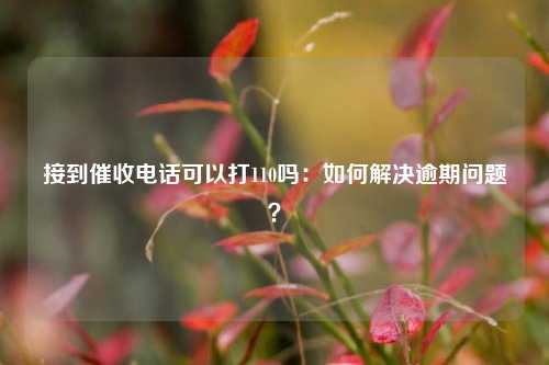 接到催收电话可以打110吗：如何解决逾期问题？