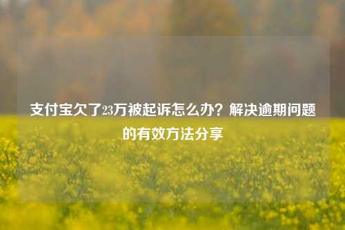 支付宝欠了23万被起诉怎么办？解决逾期问题的有效方法分享