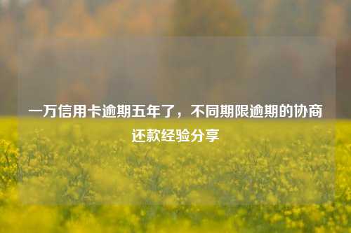 一万信用卡逾期五年了，不同期限逾期的协商还款经验分享