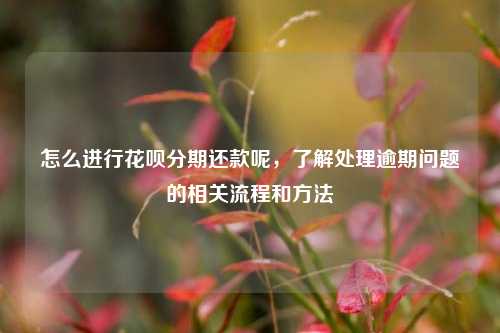 怎么进行花呗分期还款呢，了解处理逾期问题的相关流程和方法