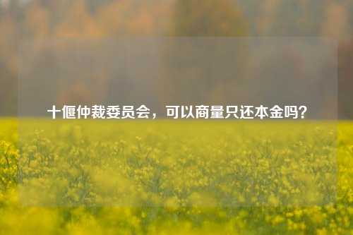 十偃仲裁委员会，可以商量只还本金吗？