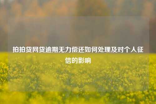 拍拍贷网贷逾期无力偿还如何处理及对个人征信的影响