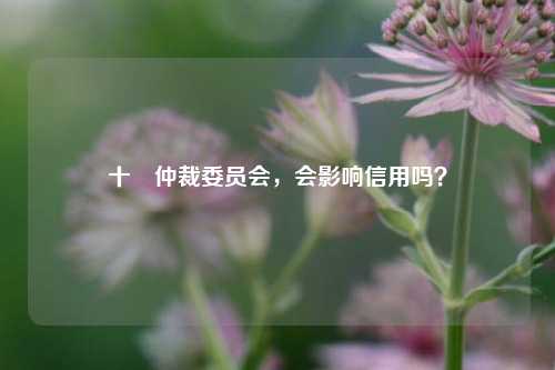 十椻仲裁委员会，会影响信用吗？