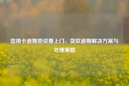 信用卡逾期他说要上门，贷款逾期解决方案与处理策略