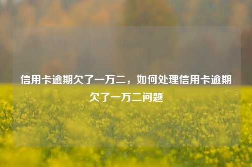 信用卡逾期欠了一万二，如何处理信用卡逾期欠了一万二问题