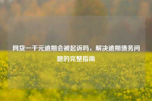 网贷一千元逾期会被起诉吗，解决逾期债务问题的完整指南