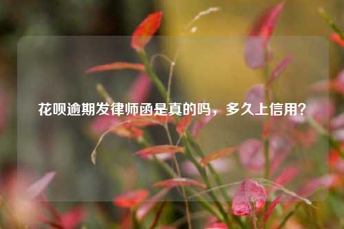 花呗逾期发律师函是真的吗，多久上信用？