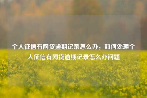 个人征信有网贷逾期记录怎么办，如何处理个人征信有网贷逾期记录怎么办问题