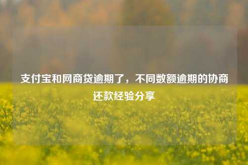 支付宝和网商贷逾期了，不同数额逾期的协商还款经验分享