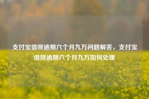 支付宝借呗逾期六个月九万问题解答，支付宝借呗逾期六个月九万如何处理