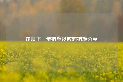 花呗下一步措施及应对措施分享