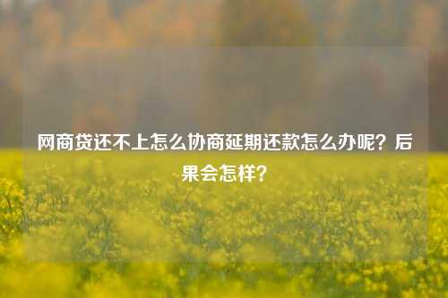 网商贷还不上怎么协商延期还款怎么办呢？后果会怎样？