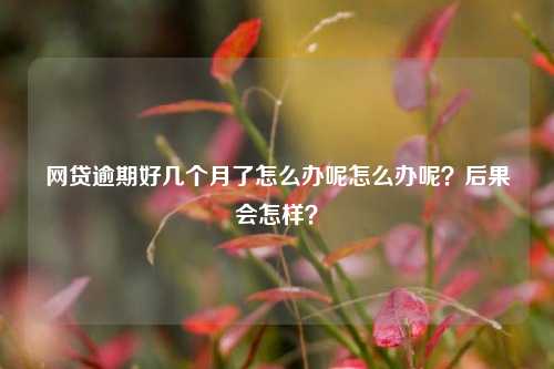 网贷逾期好几个月了怎么办呢怎么办呢？后果会怎样？