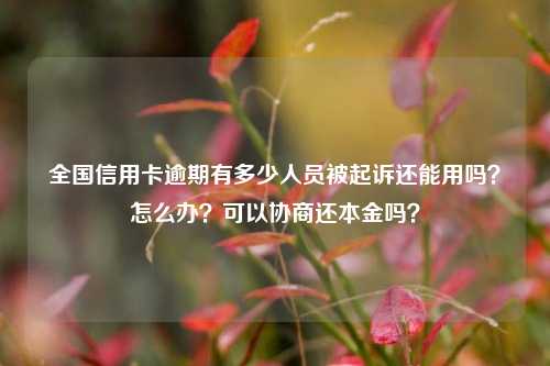 全国信用卡逾期有多少人员被起诉还能用吗？怎么办？可以协商还本金吗？