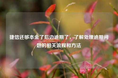 捷信还够本金了后边逾期了，了解处理逾期问题的相关流程和方法