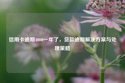 信用卡逾期4000一年了，贷款逾期解决方案与处理策略