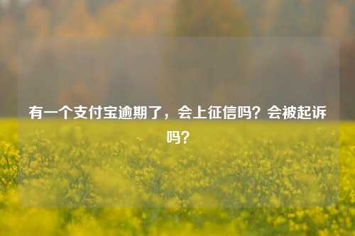 有一个支付宝逾期了，会上征信吗？会被起诉吗？