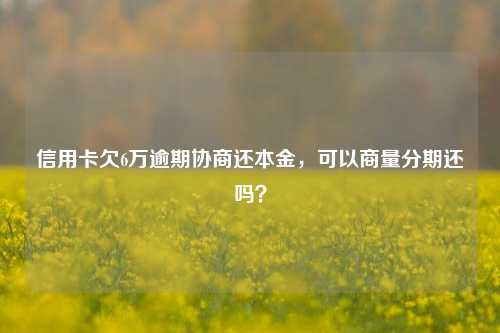 信用卡欠6万逾期协商还本金，可以商量分期还吗？