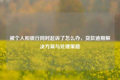 被个人和银行同时起诉了怎么办，贷款逾期解决方案与处理策略