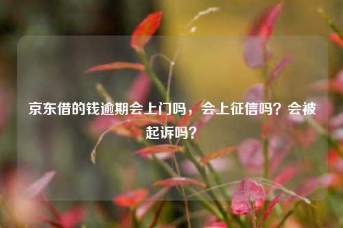 京东借的钱逾期会上门吗，会上征信吗？会被起诉吗？