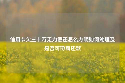 信用卡欠三十万无力偿还怎么办呢如何处理及是否可协商还款