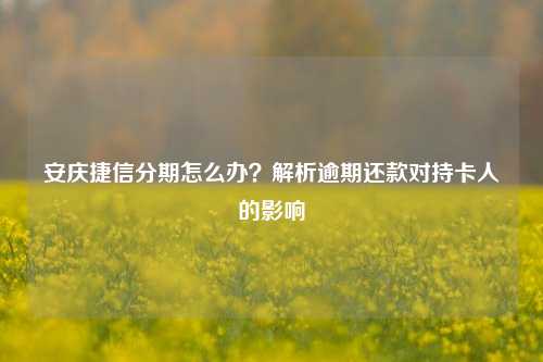 安庆捷信分期怎么办？解析逾期还款对持卡人的影响