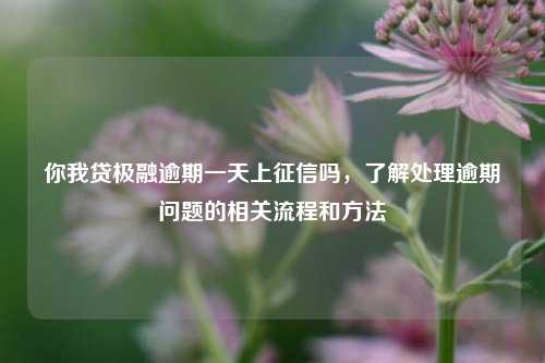 你我贷极融逾期一天上征信吗，了解处理逾期问题的相关流程和方法