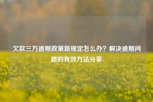 欠款三万逾期政策新规定怎么办？解决逾期问题的有效方法分享