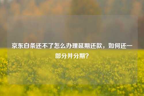 京东白条还不了怎么办理延期还款，如何还一部分并分期？