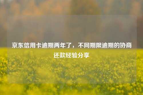 京东信用卡逾期两年了，不同期限逾期的协商还款经验分享