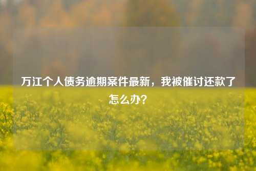 万江个人债务逾期案件最新，我被催讨还款了怎么办？