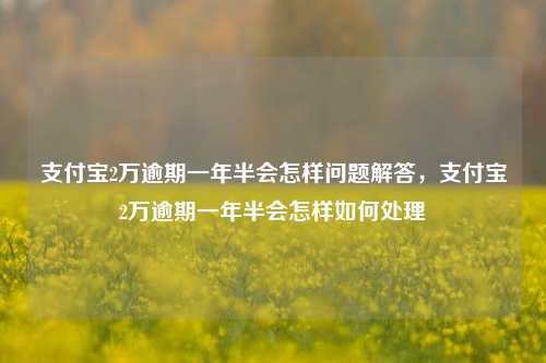 支付宝2万逾期一年半会怎样问题解答，支付宝2万逾期一年半会怎样如何处理