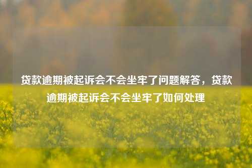 贷款逾期被起诉会不会坐牢了问题解答，贷款逾期被起诉会不会坐牢了如何处理