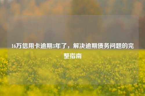 16万信用卡逾期3年了，解决逾期债务问题的完整指南