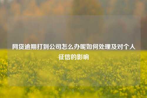 网贷逾期打到公司怎么办呢如何处理及对个人征信的影响