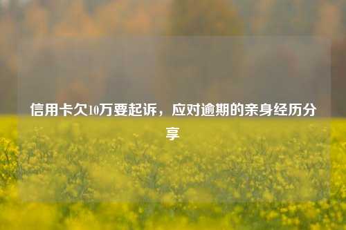 信用卡欠10万要起诉，应对逾期的亲身经历分享